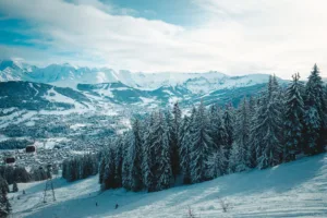 Snowy Forest and Valley at Megève