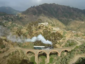 Steam Train on the Eritrean Railway