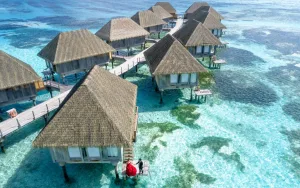 Thatched Villas above the Reef, Maldives