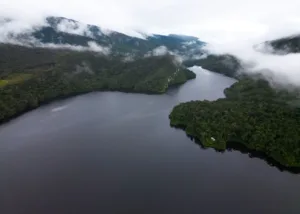 The Amazon River through the Rainforest, Peru