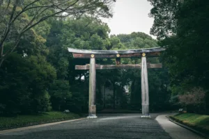 La puerta torii del Meiji Jingu, Tokio