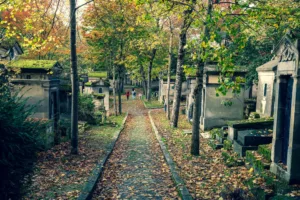 Tree-Lined Lane in a Paris Cemetery in Autumn