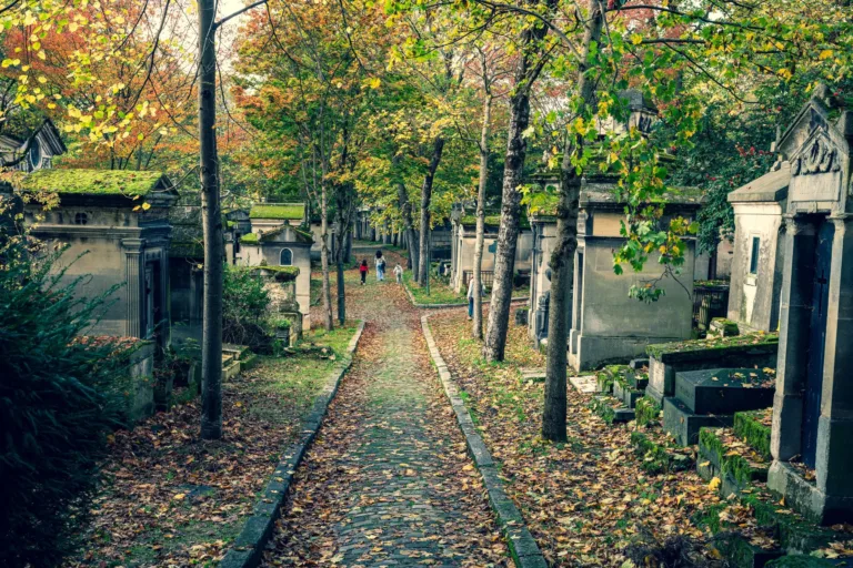 Tree-Lined Lane in a Paris Cemetery in Autumn