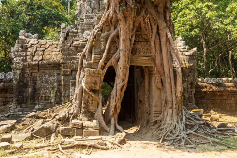 Tree Roots over the Gate of Ta Som, Angkor