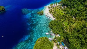 Tropical Coast from Above, Caraga