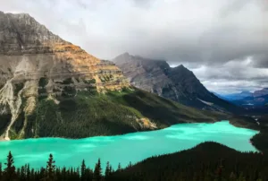 Turquoise Peyto Lake, Icefields Parkway