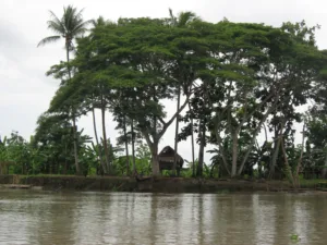 Village on the Sepik River