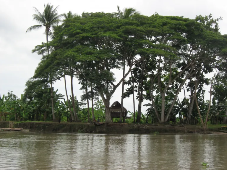 Village on the Sepik River