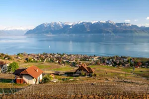 Viñedos y pueblo sobre el lago Lemán