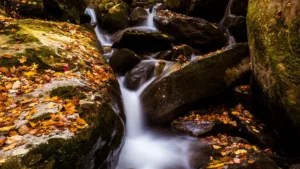 Waterfall in Autumn, Great Smoky Mountains