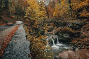 Waterfall in Luxembourg’s Mullerthal