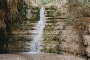 Waterfall in the Ein Gedi Oasis