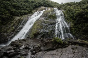 Una cascada en el bosque de Yakushima