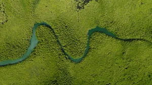 Winding Creek near Banjul