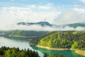 Zaovine Lake in Tara National Park